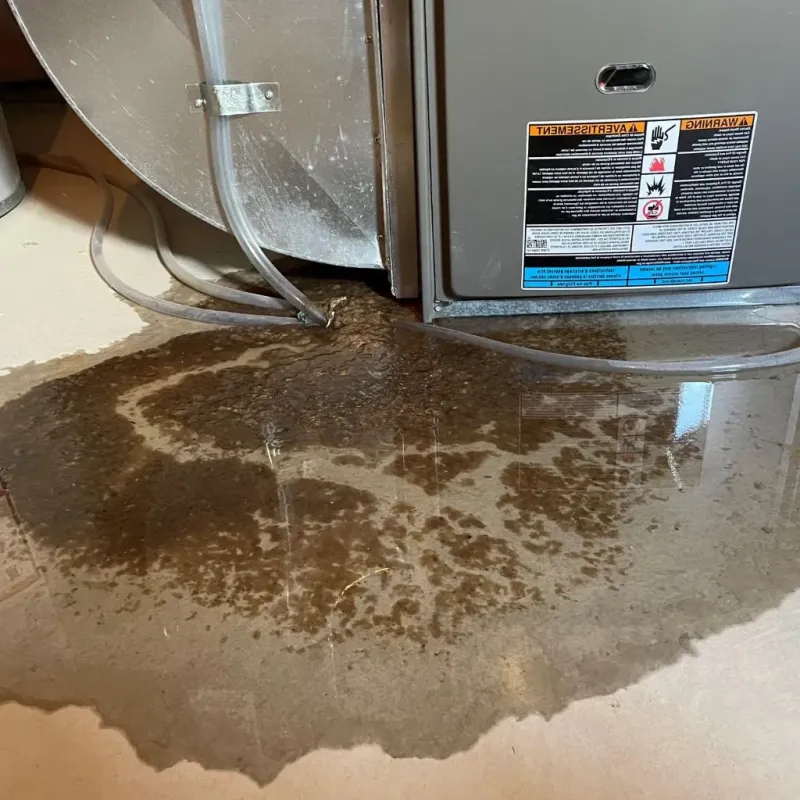 Pipe Burst and Leak Restoration in Stark County, ND