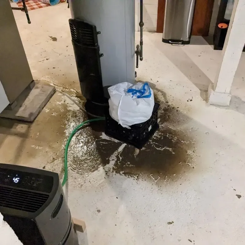Sewage Backup Cleanup Service in Stark County, ND